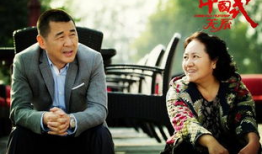 中国式关系电视剧,揭秘官场风云与人际博弈
