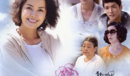 憨媳妇当家电视剧全集,笑料百出，温情满溢的家庭喜剧之旅