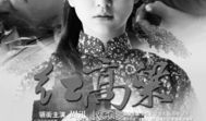 电视剧红高粱,乱世情仇与民族抗争