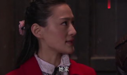 红狐电视剧,谍影重重，热血铸就传奇