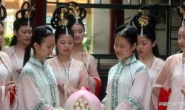三妻四妾电视剧,宫廷权谋与情感纠葛的华丽演绎
