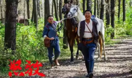 怒放电视剧,热血青春，梦想绽放