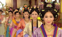 三妻四妾电视剧,宫廷权谋与情感纠葛的华丽演绎