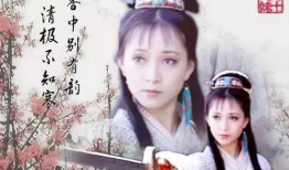 甘十九妹电视剧,江湖传奇，情仇交织的剑影柔情
