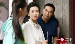 张嘉译闫妮主演的电视剧,温情岁月里的都市人生
