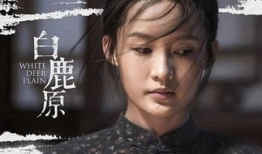 白鹿原电视剧在线观看完整版免费,免费在线观看，揭秘百年家族风云