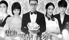 爱情剧电视剧大全,盘点年度热门爱情剧大全