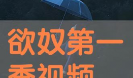 电视剧欲奴,欲望的枷锁，人性的挣扎