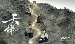 天梯电视剧,攀登梦想的巅峰