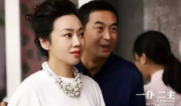 张嘉译闫妮主演的电视剧,温情岁月里的都市人生