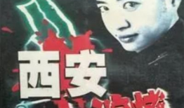 西安大追捕电视剧,惊心动魄的古城猎影