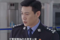 公安电视剧,揭秘公安英雄的生死较量