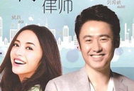 离婚律师电视剧,情感纠葛与法律智慧交织的婚姻战场