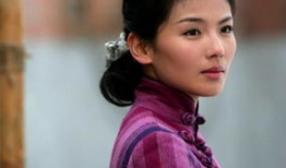 刘涛主演的所有电视剧,从古装佳人到现代都市女性的精彩蜕变
