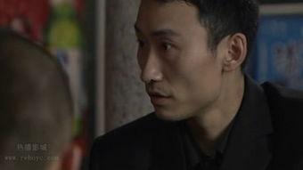 卧底48天 电视剧,潜入黑暗，揭秘罪恶