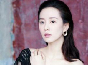 刘诗诗最新电视剧,刘诗诗新剧演绎宫廷风云